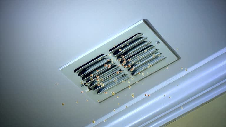 Best Air Duct Cleaning Company Near Me  in Lazy Mountain, AK