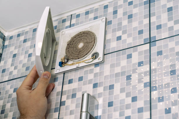 Best Dryer Vent Cleaning Services  in Lazy Mountain, AK