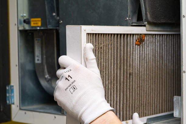 Best Air Duct Cleaning Cost  in Lazy Mountain, AK